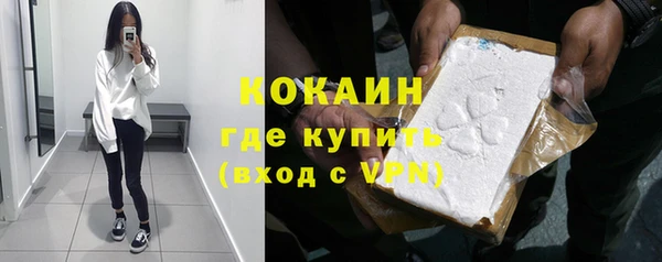 твердый Лагань