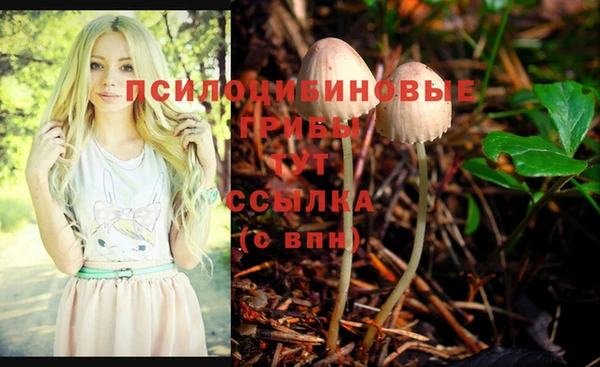 каннабис Билибино