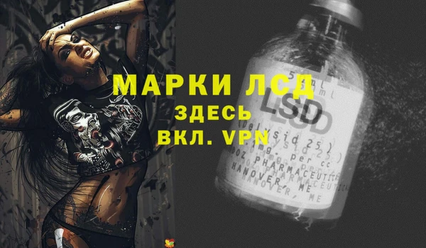 твердый Лагань