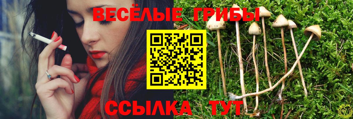 Лянтор  Галлюциногенные грибы прущие грибы  Вход с VPN 