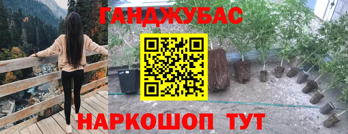 Марихуана сатива  Каннабис гибрид  Лянтор  Бошки Шишки тримм 